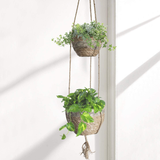 Hanging Seagrass Planter Basket Indoor/Outdoor