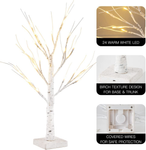 MEETYAMOR 2FT 24LT Led Lighted Birch Tree, Easter Decor Set of 2 24 Inch Small White Christmas Money Artificial Tree, Party Home Mantle Table Top Centerpieces Indoor Winter Decorations