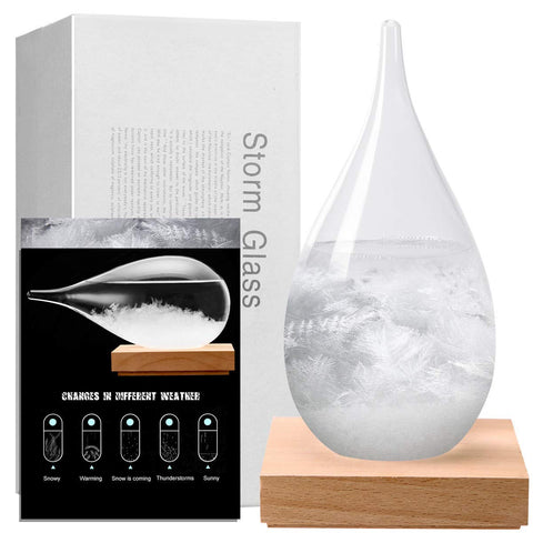 F FOXKEY Storm Glass Office Decoration, Decorative Bottle Weather Forecaster Station, Christmas Snow Globe with Water Anniversary Birthday Mothers Day Present