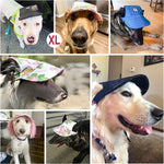 Pawaboo Dog Baseball Cap, Adjustable Dog Outdoor Sport Sun Protection Baseball Hat Cap Visor Sunbonnet Outfit with Ear Holes for Puppy Small Dogs, Small, Black